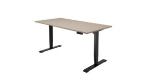 Rise Sit-Stand Desk